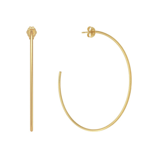 Michelle Hoops